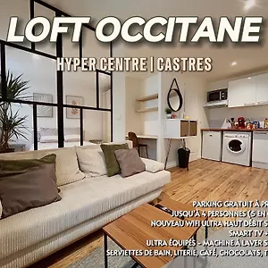 Loft Occitane Hyper Centre Castres Appartement Castres (Tarn)